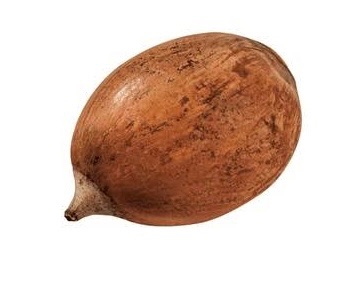 Babaçu