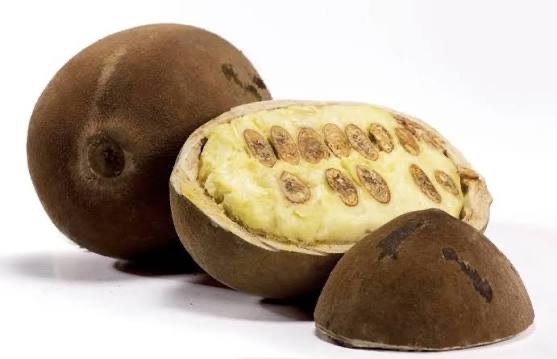 Cupuaçu